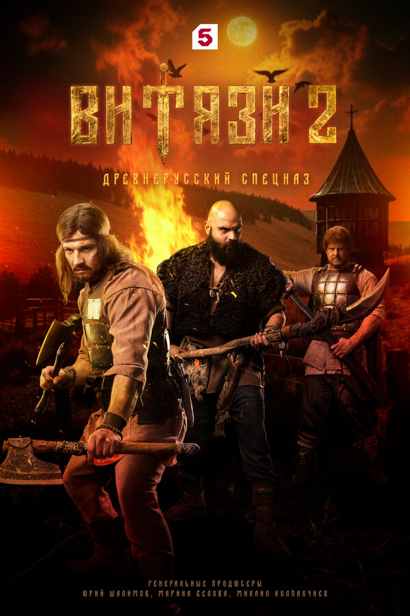 Постер сериала «Витязи»